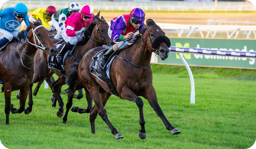 Horse racing photo 15